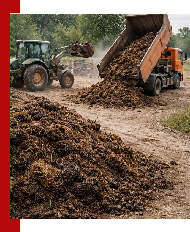 Доставка навоза самосвалами в Новосибирске для сельхозпотребностей